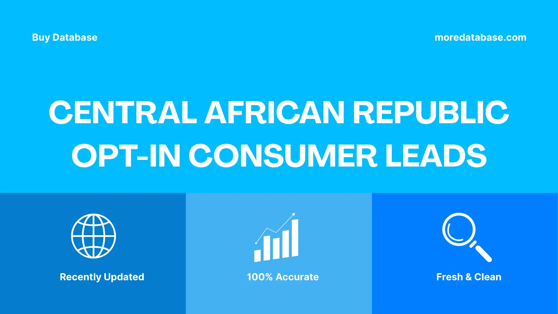 Central African Republic Opt-In Consumer Leads 100K Package