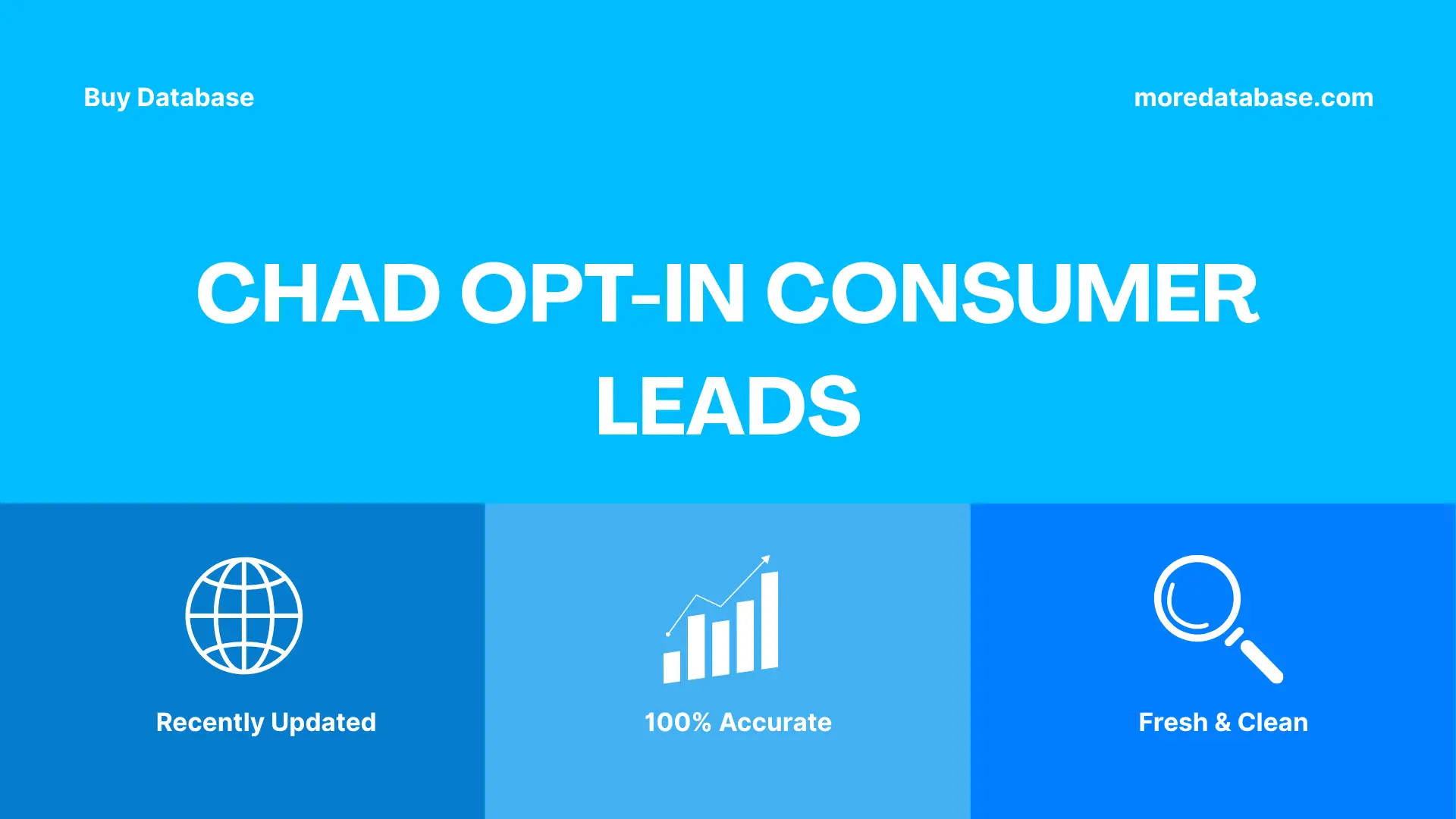 Chad Opt-In Consumer Leads Trial Package
