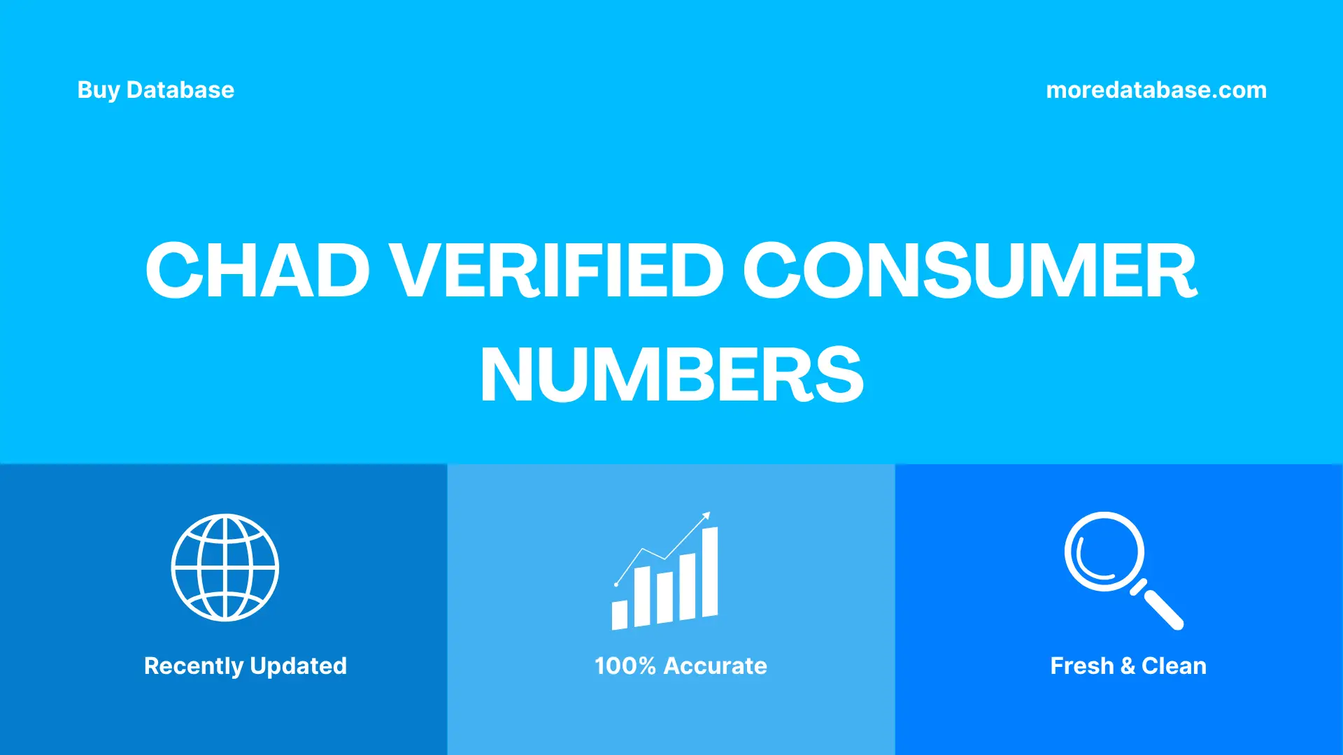 Chad Verified Consumer Numbers 500K Package
