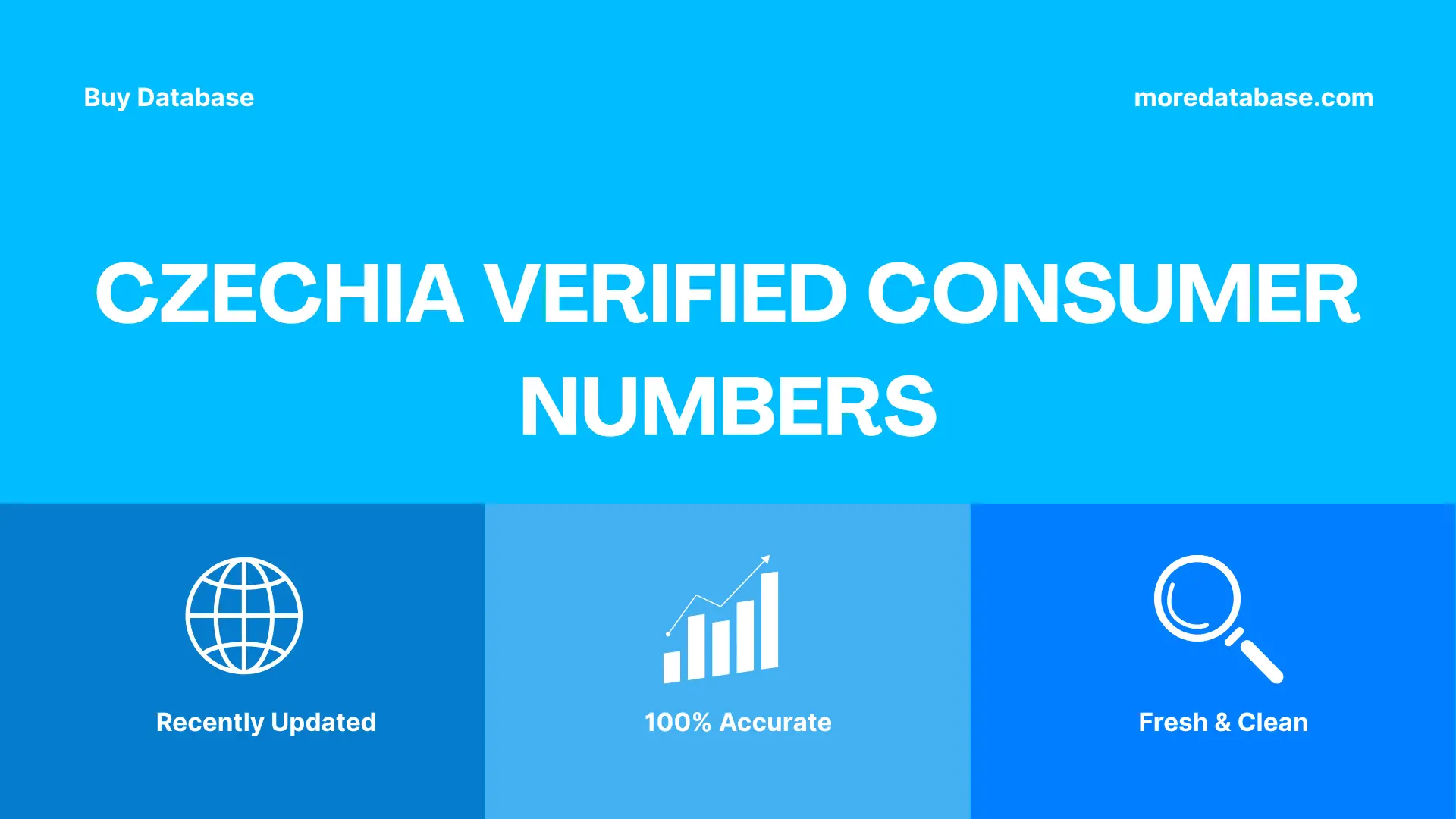 Czechia Verified Consumer Numbers Trial Package