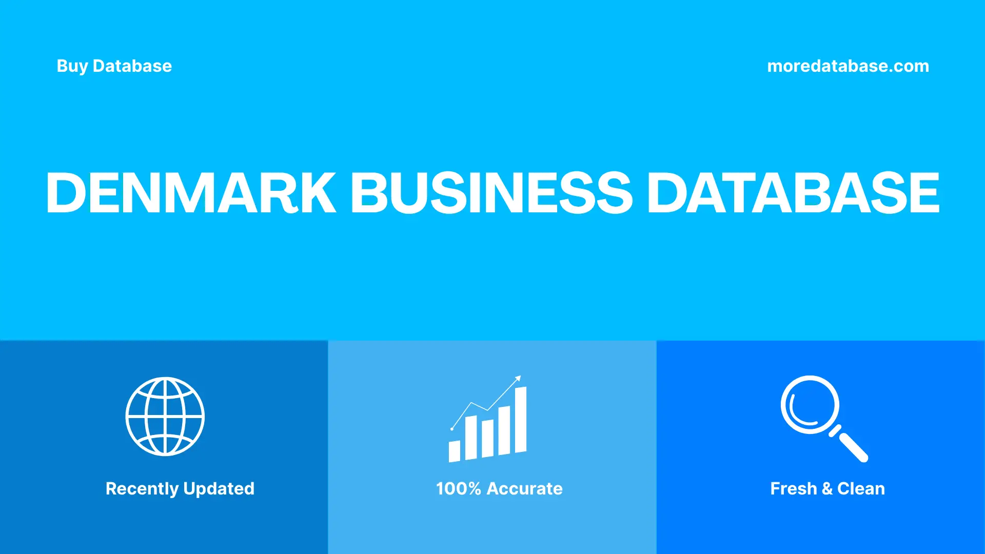 Denmark Business Database Trial Package