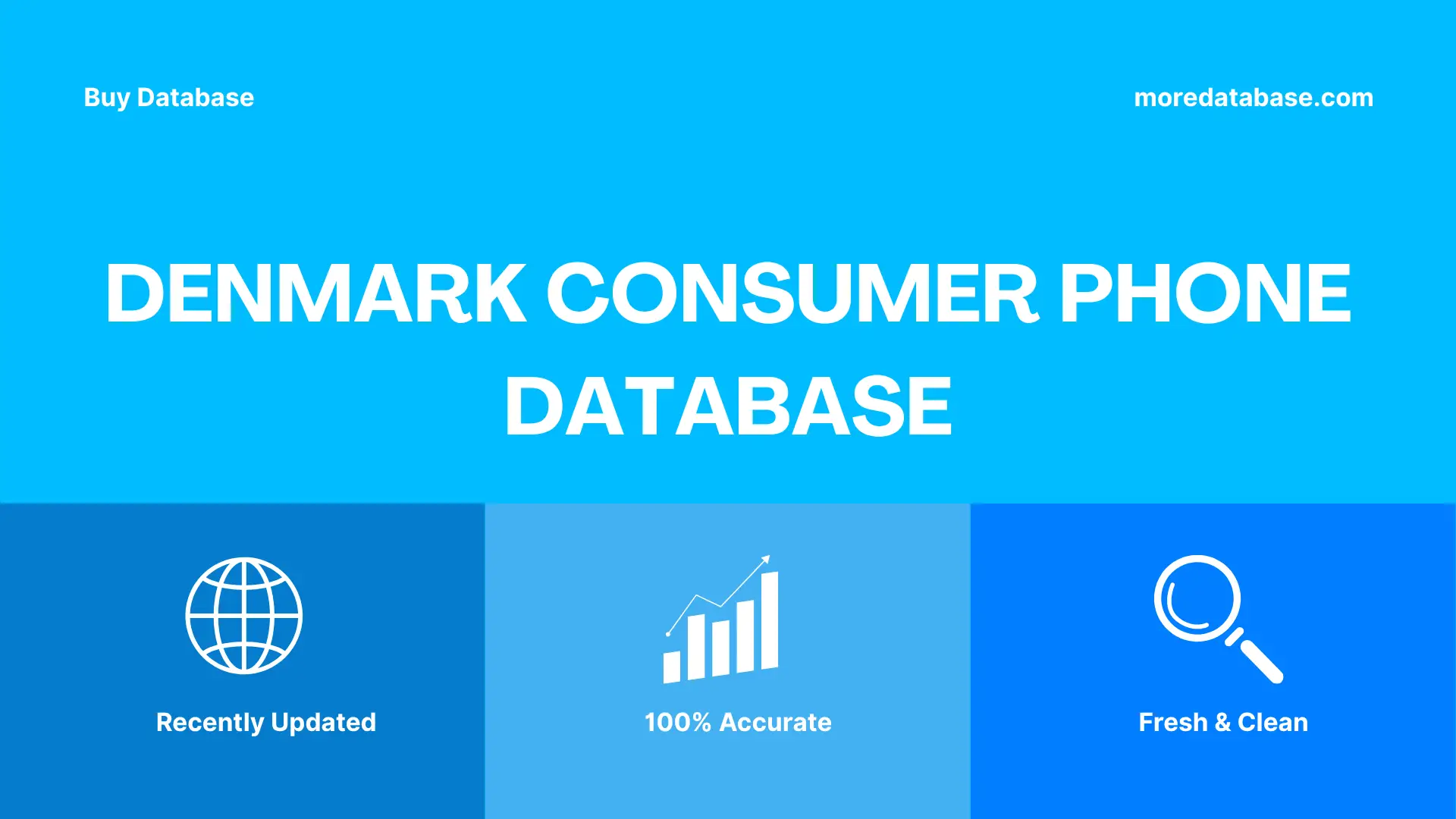 Denmark Consumer Phone Database Trial Package