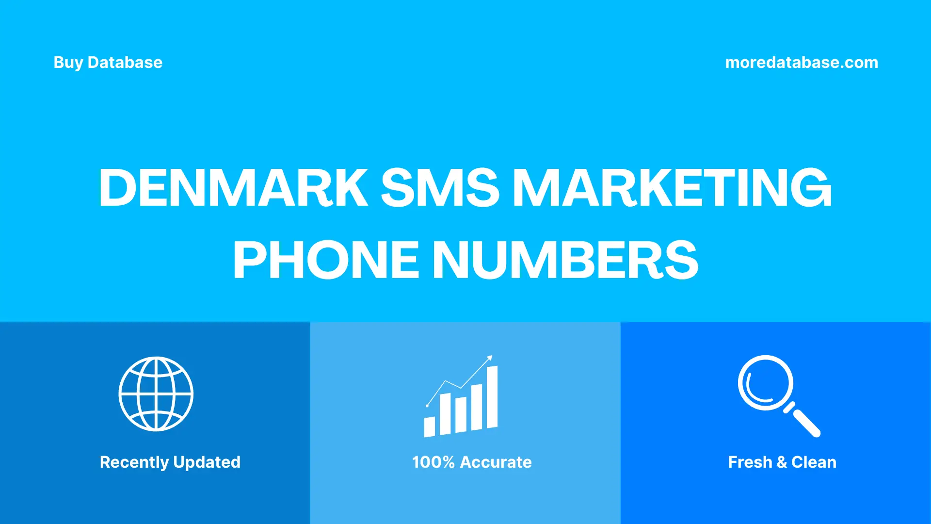 Denmark SMS Marketing Phone Numbers 100K Package