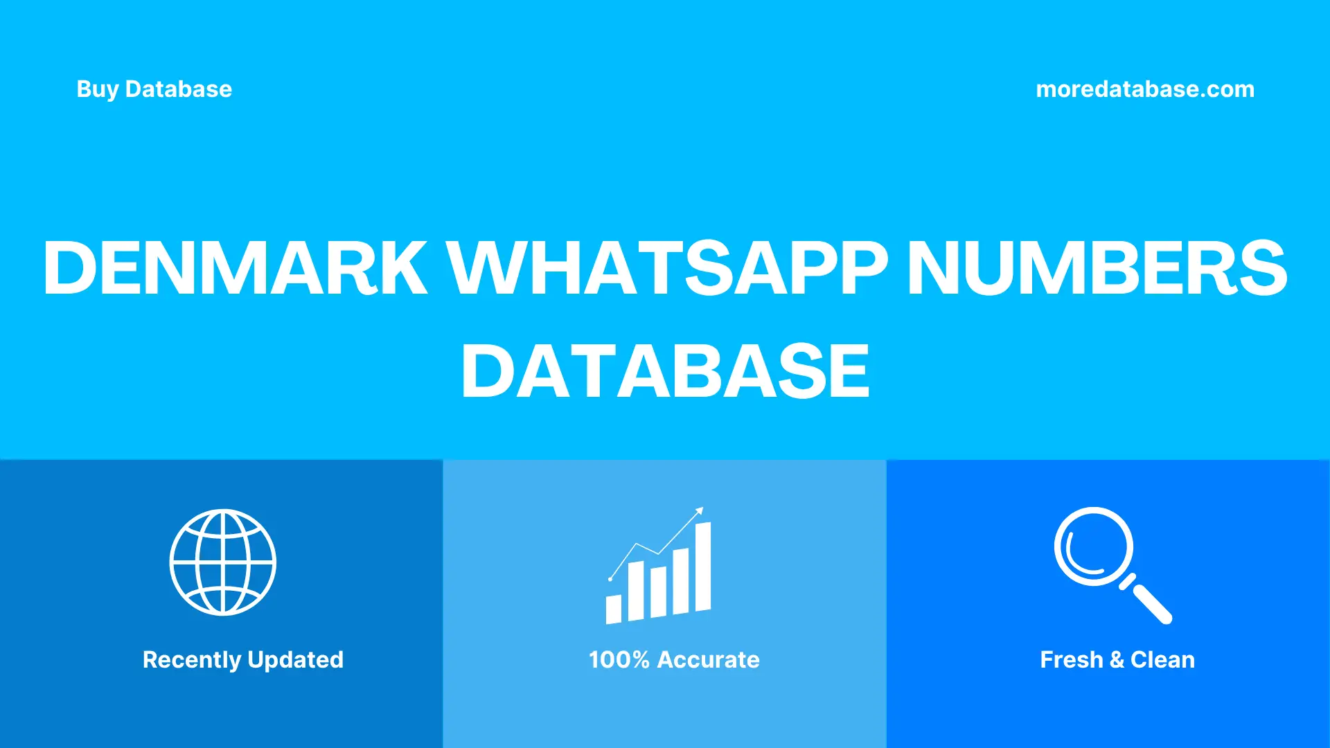 Denmark WhatsApp Numbers Database Trial Package