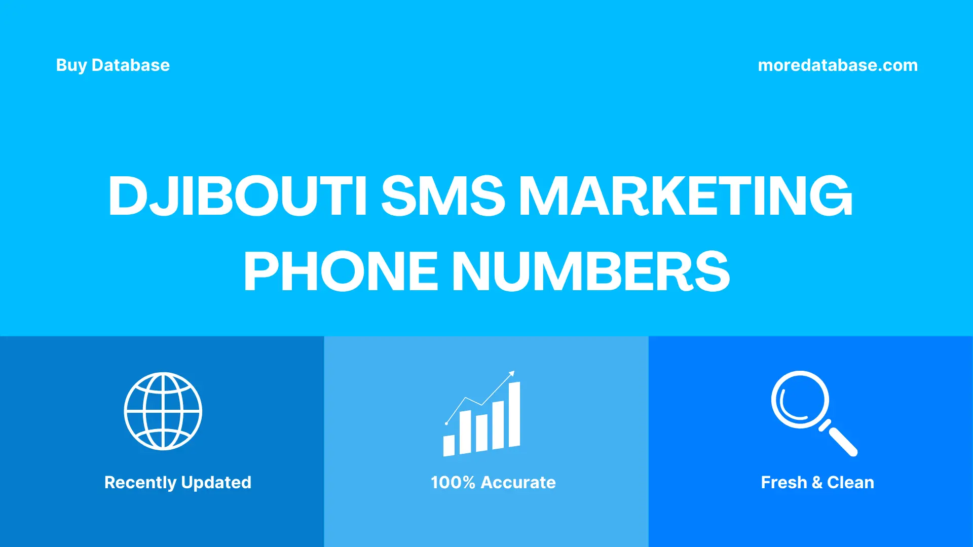 Djibouti SMS Marketing Phone Numbers 100K Package