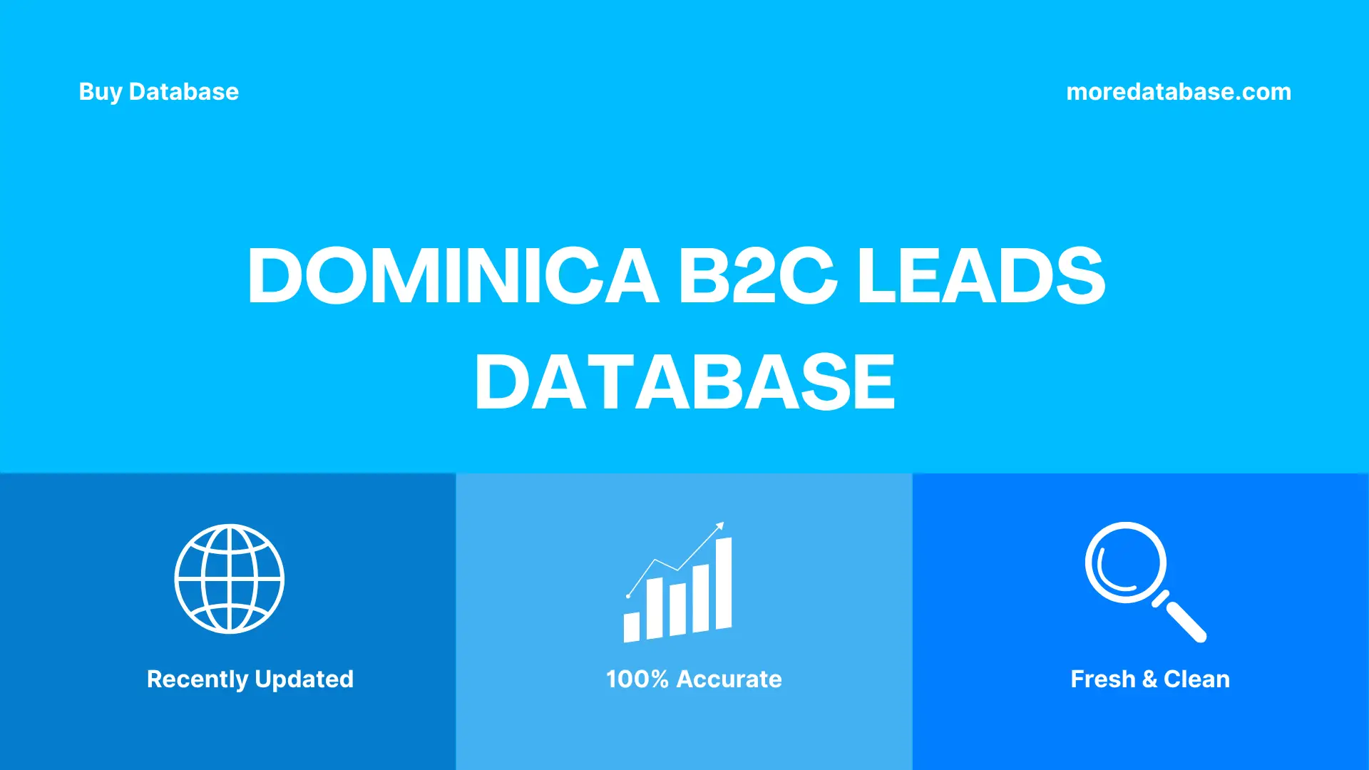 Dominica B2C Leads Database Trial Package