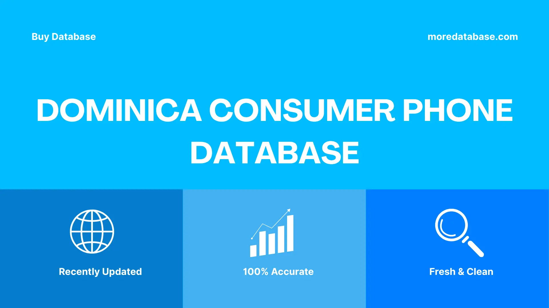 Dominica Consumer Phone Database Trial Package