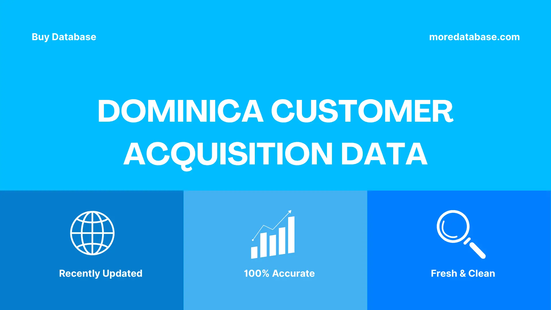 Dominica Customer Acquisition Data Trial Package