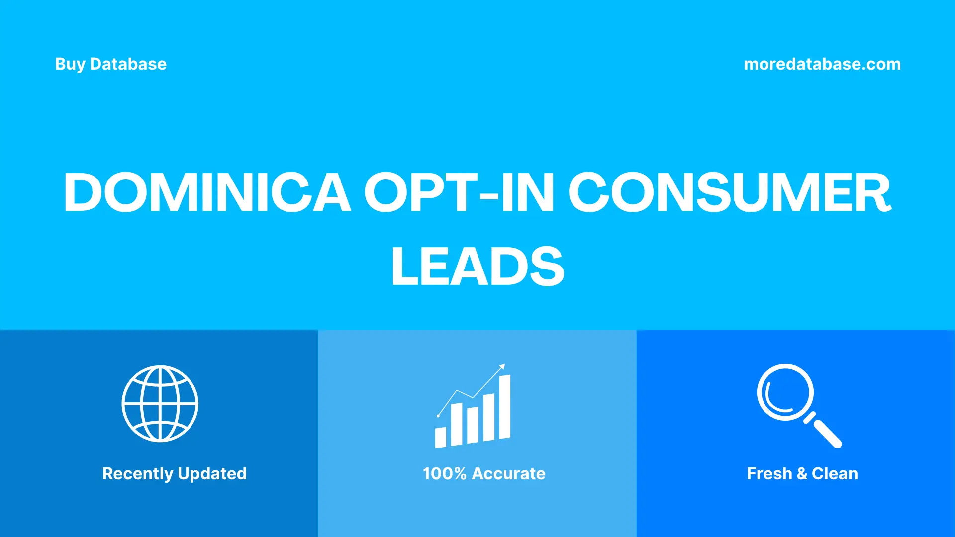 Dominica Opt-In Consumer Leads Trial Package