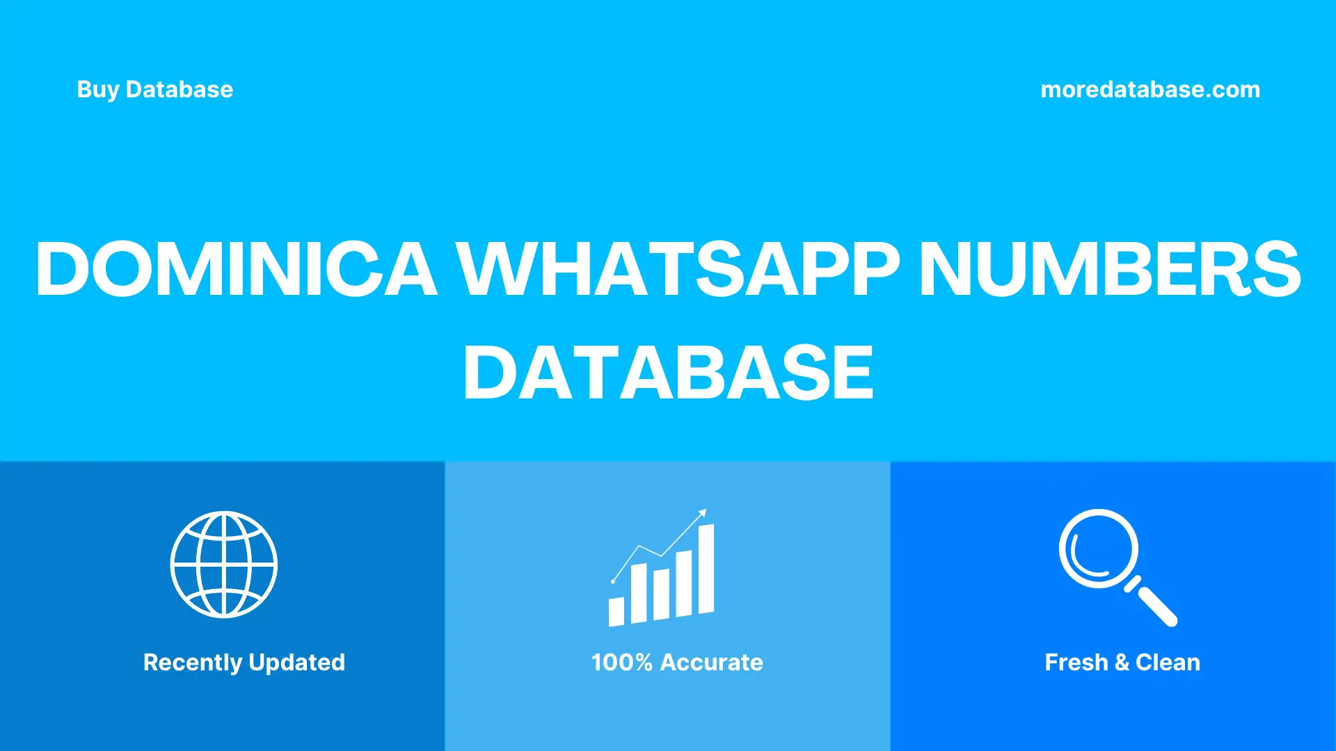 Dominica WhatsApp Numbers Database Trial Package