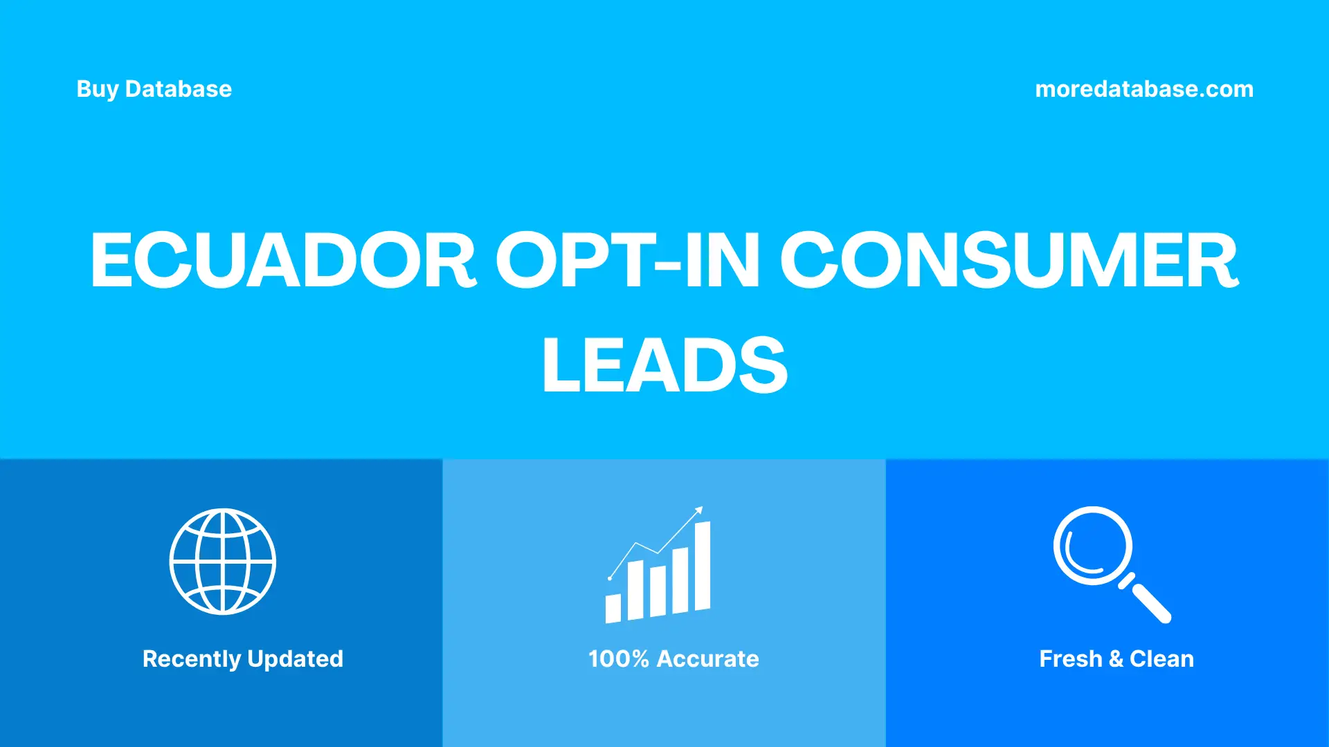 Ecuador Opt-In Consumer Leads 500K Package