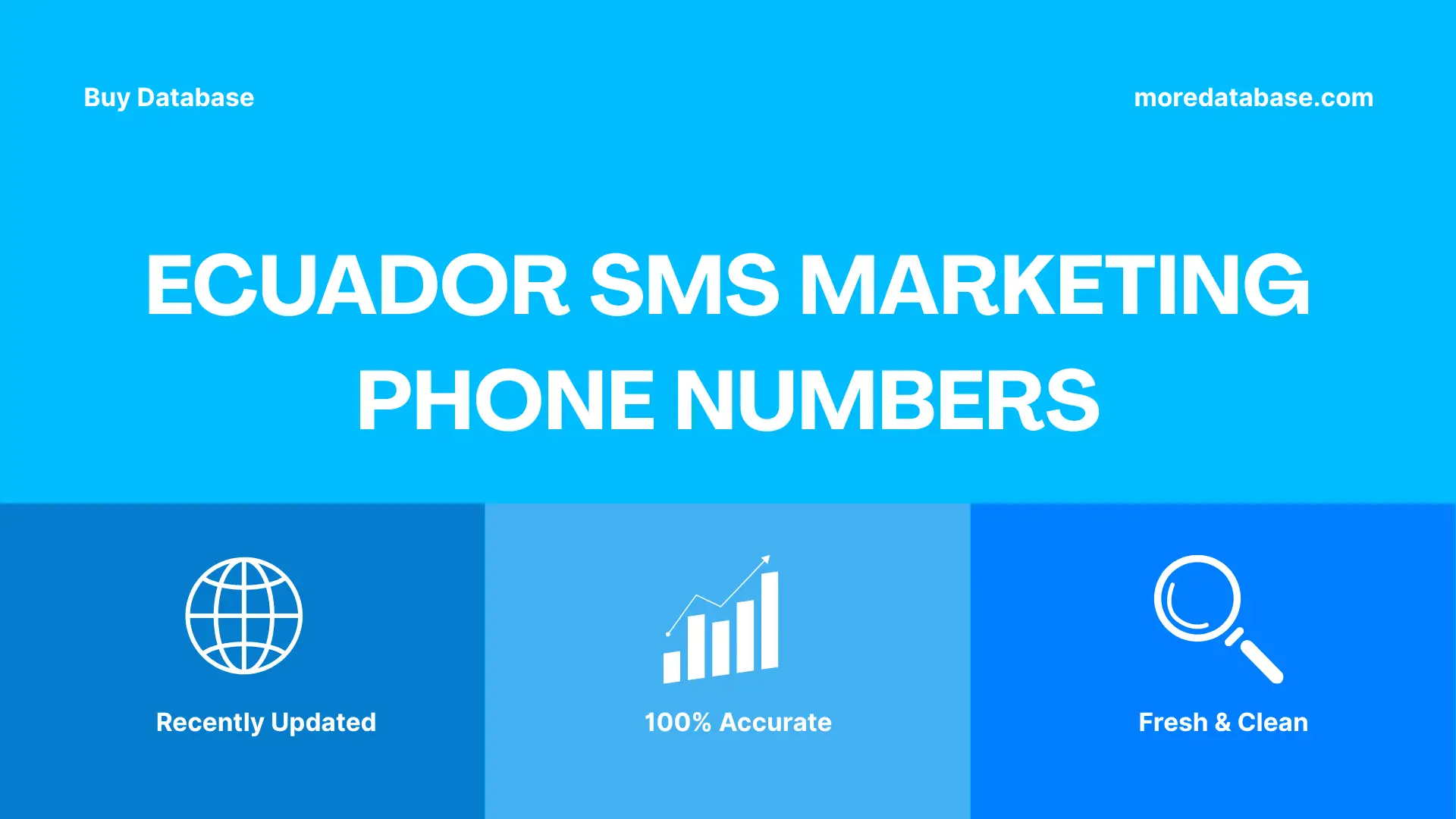Ecuador SMS Marketing Phone Numbers 100K Package
