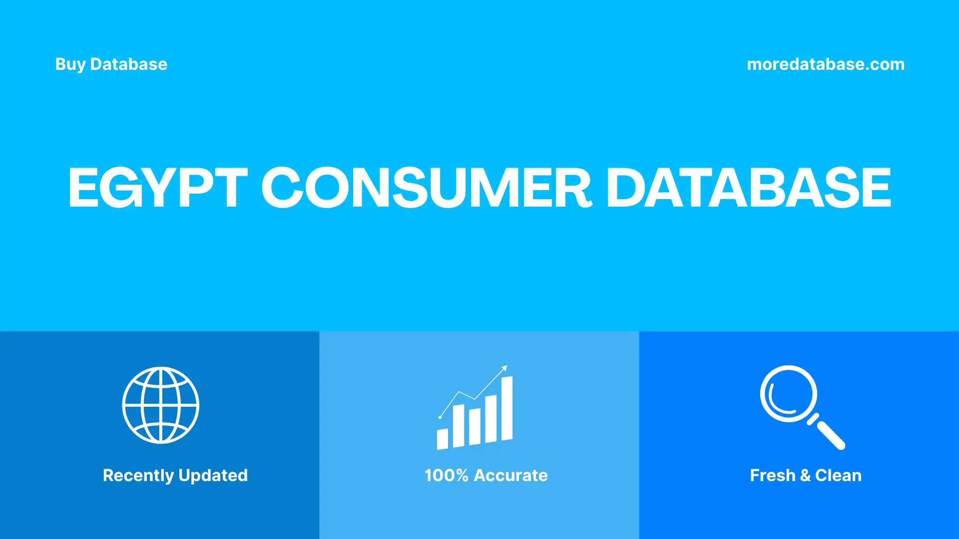 Egypt Consumer Database Trial Package