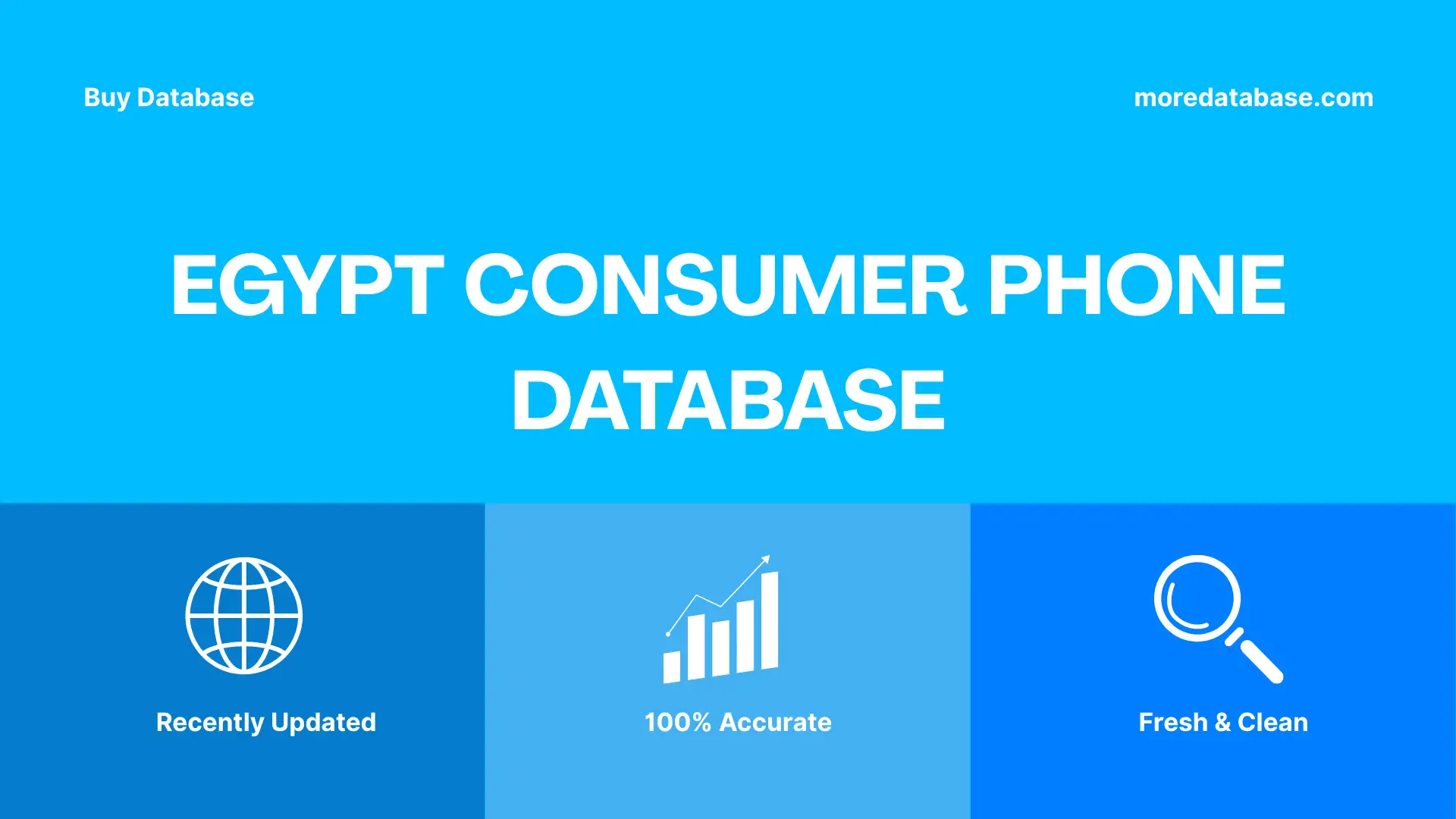 Egypt Consumer Phone Database Trial Package