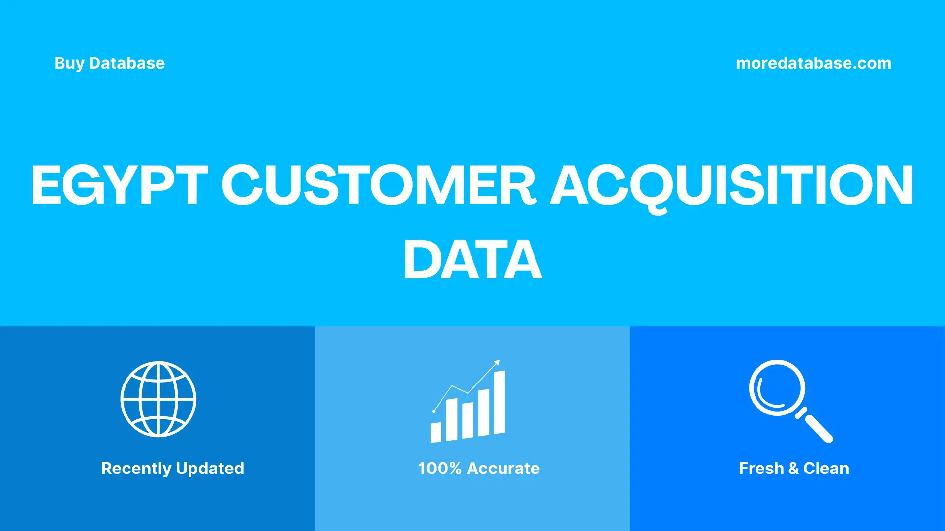 Egypt Customer Acquisition Data 500K Package