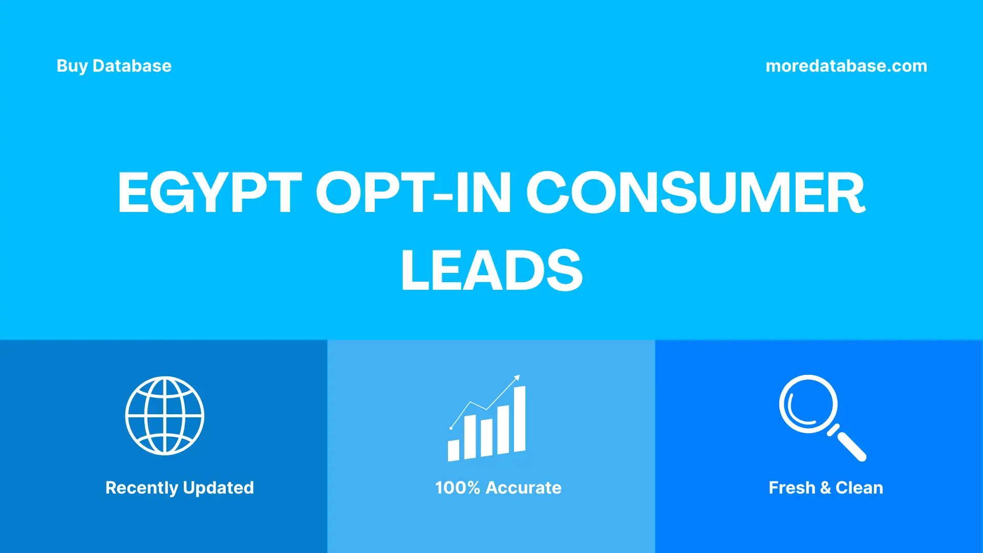 Egypt Opt-In Consumer Leads Trial Package
