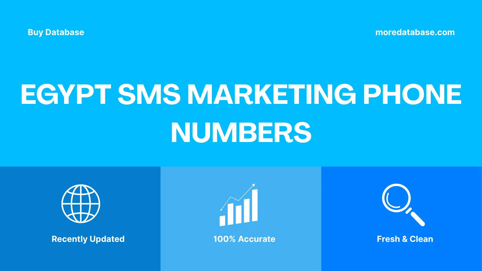 Egypt SMS Marketing Phone Numbers 100K Package