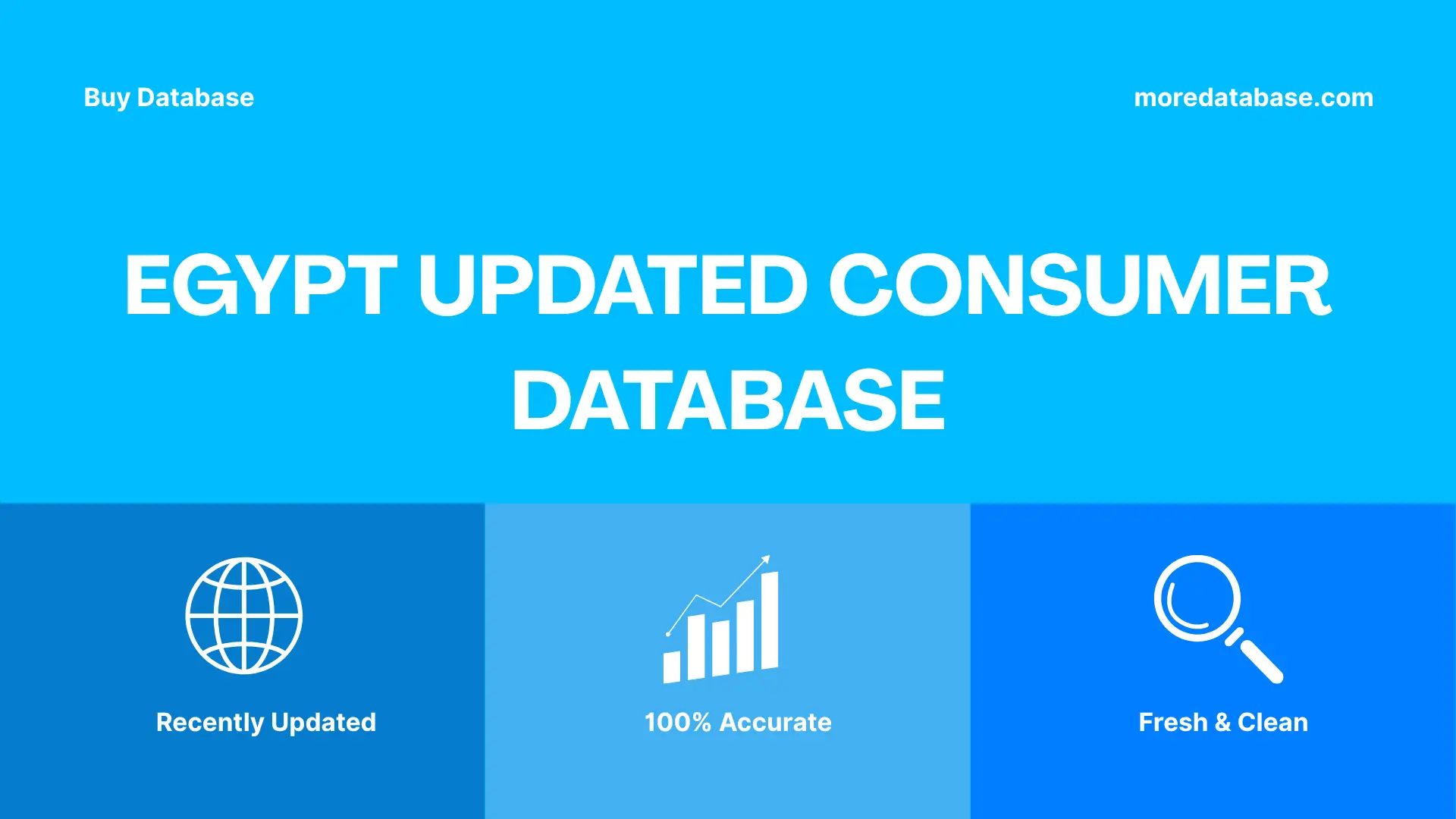 Egypt Updated Consumer Database Trial Package