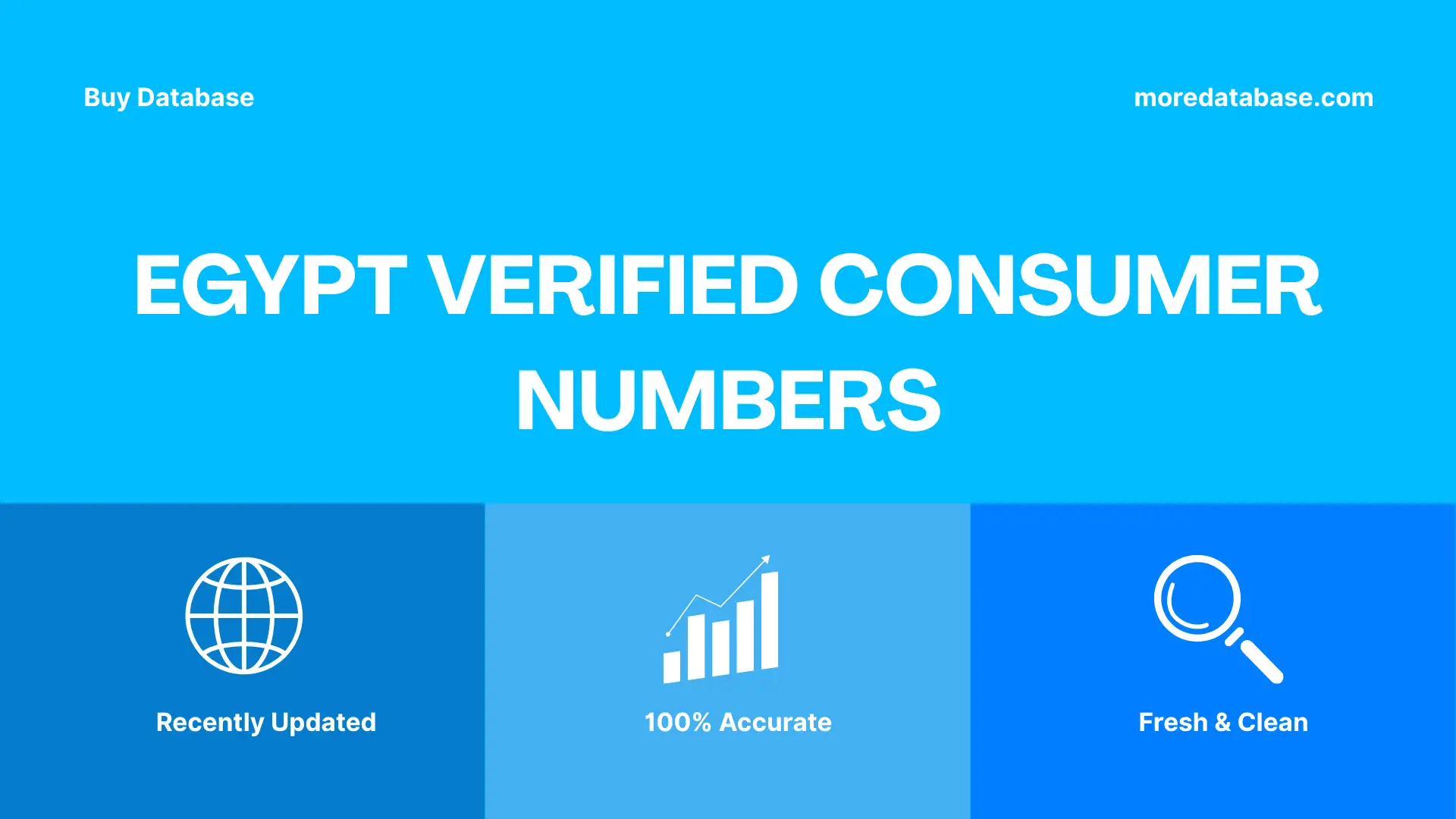 Egypt Verified Consumer Numbers Trial Package