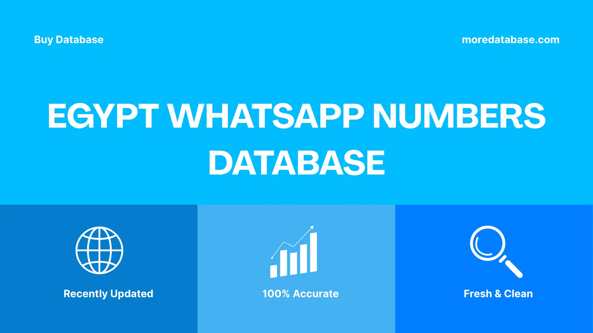 Egypt WhatsApp Numbers Database Trial Package