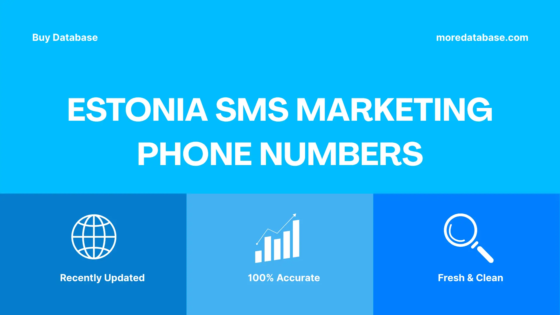 Estonia SMS Marketing Phone Numbers 100K Package