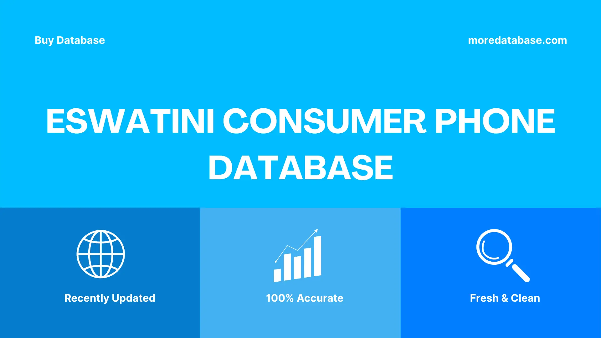 Eswatini Consumer Phone Database Trial Package