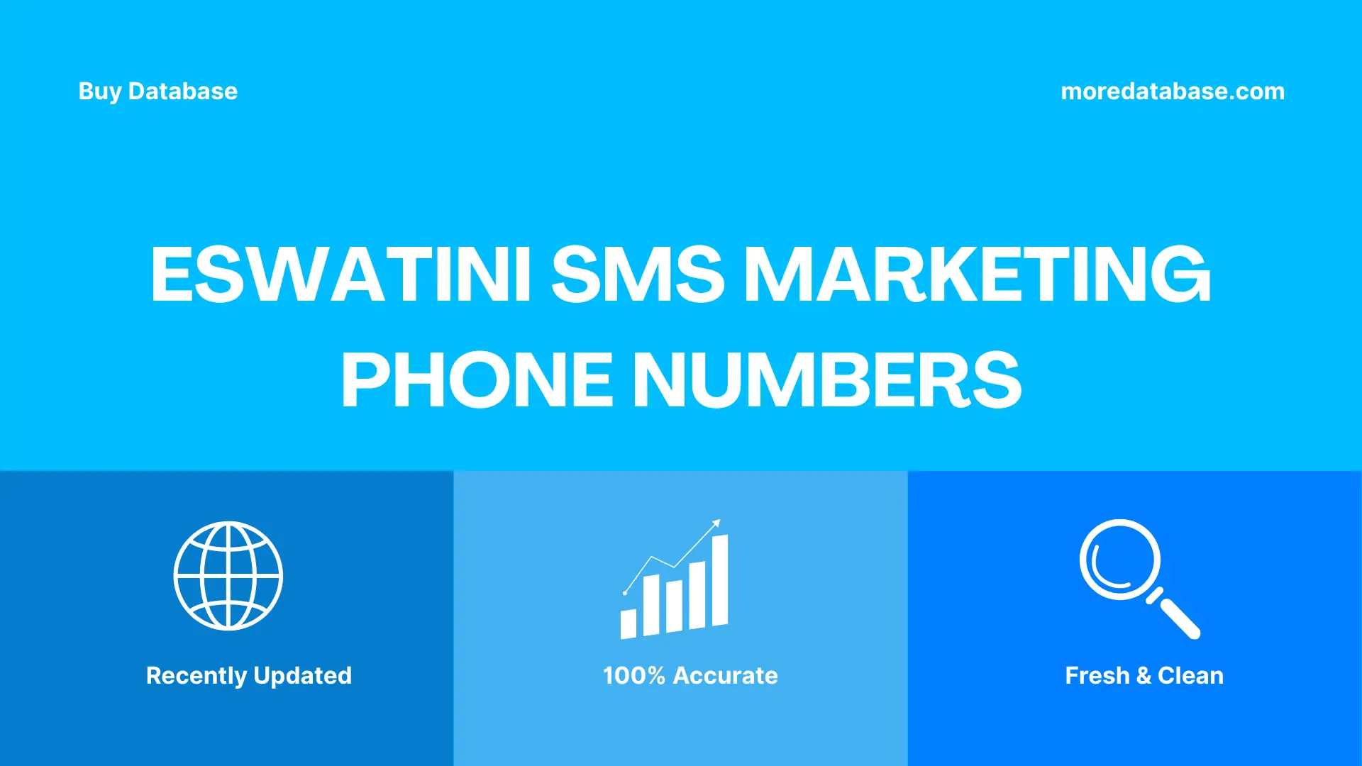Eswatini SMS Marketing Phone Numbers 100K Package