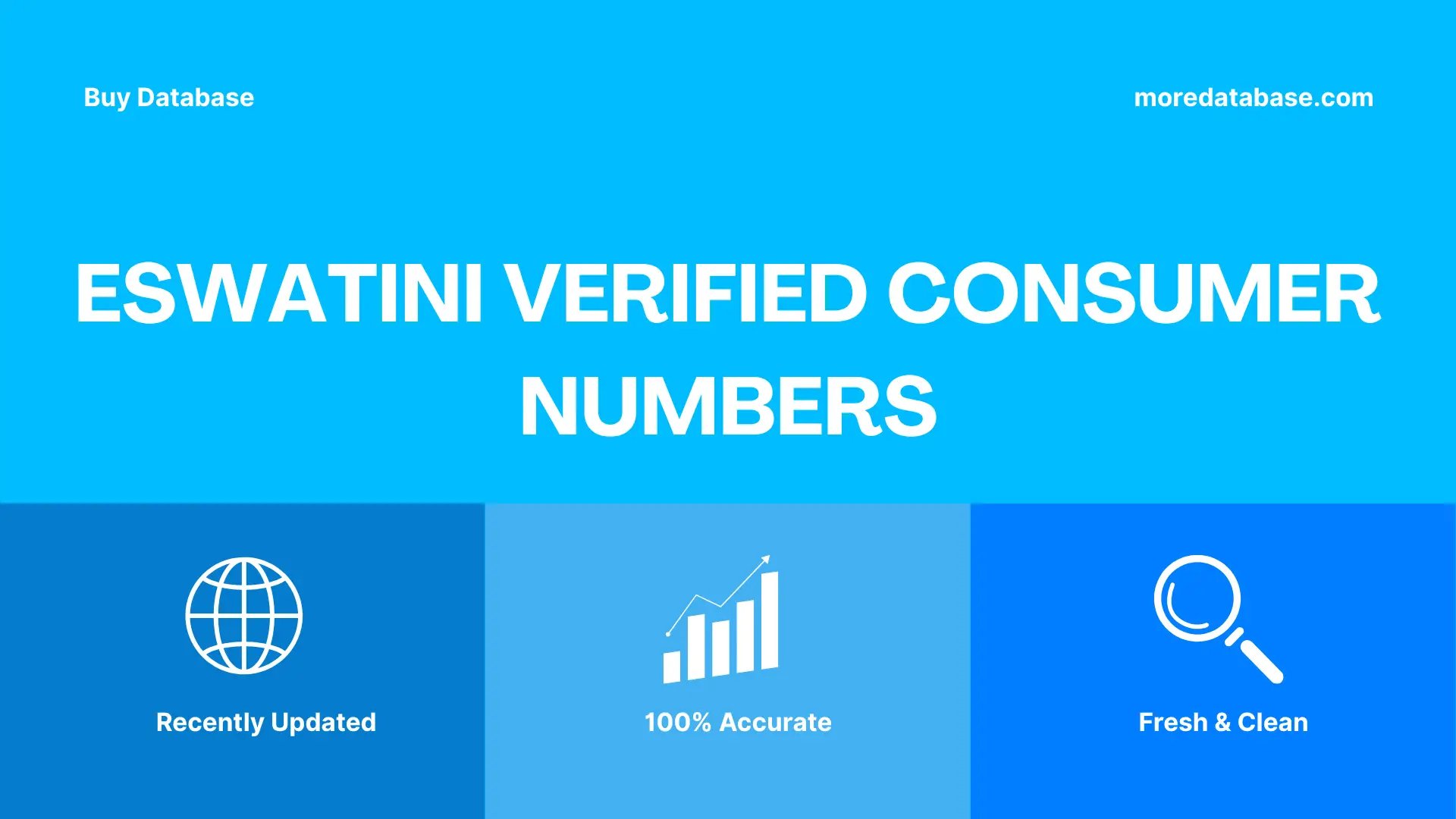 Eswatini Verified Consumer Numbers Trial Package
