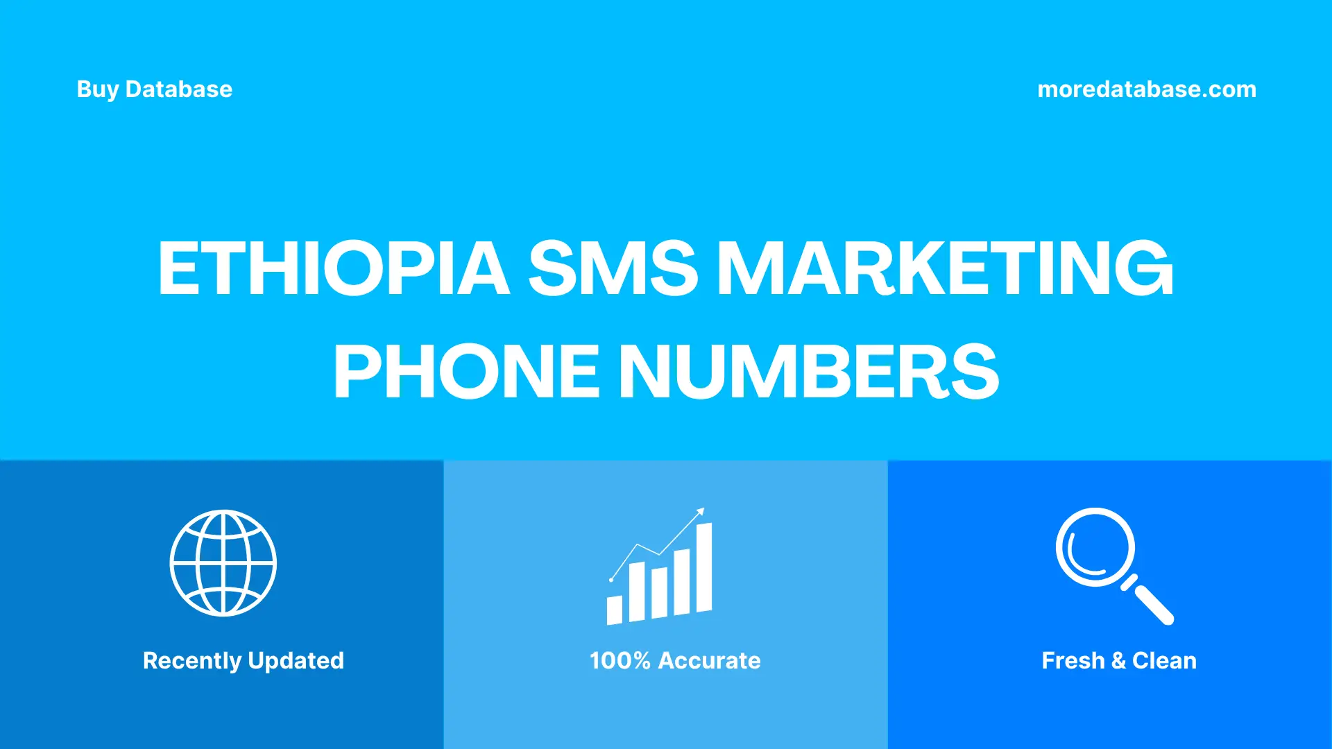 Ethiopia SMS Marketing Phone Numbers 100K Package