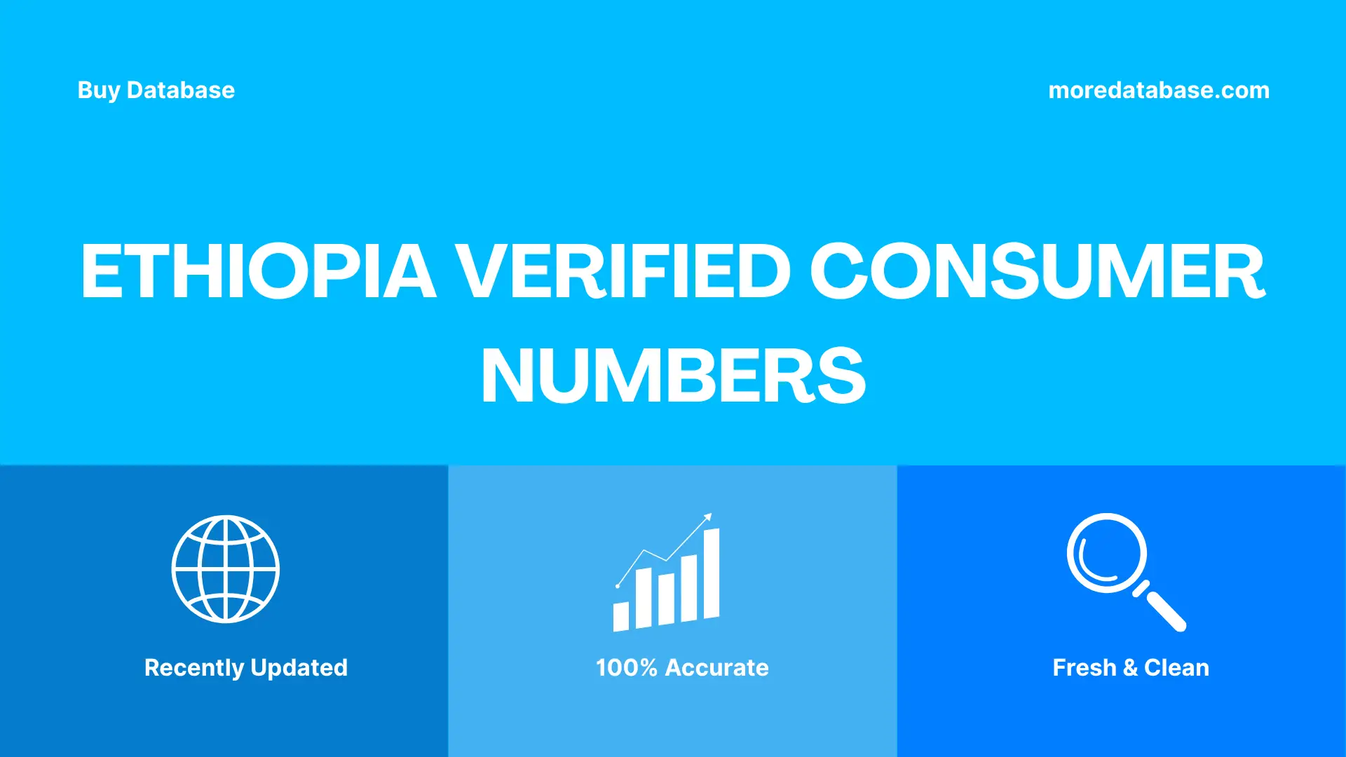 Ethiopia Verified Consumer Numbers Trial Package