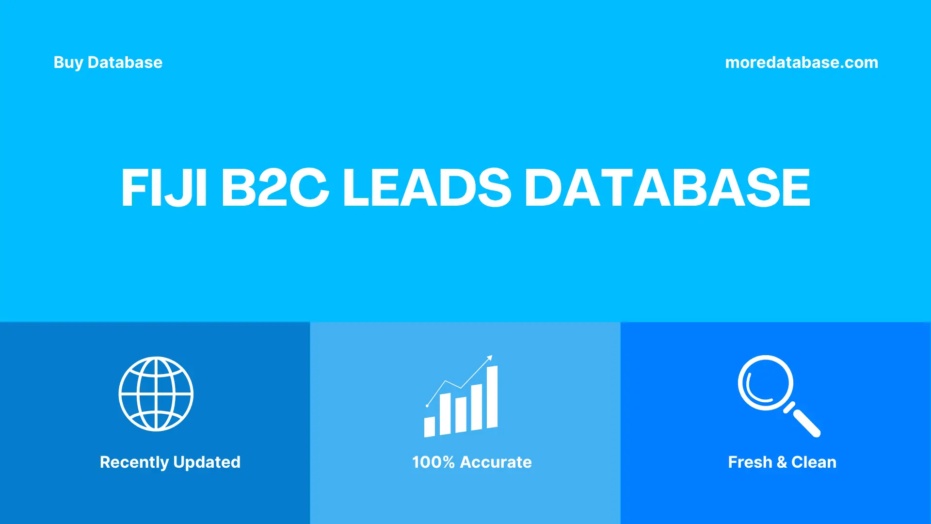Fiji B2C Leads Database 100K Package