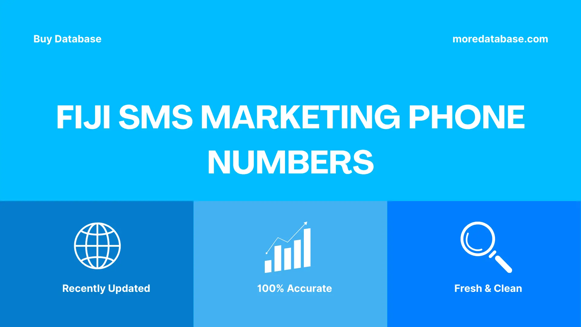 Fiji SMS Marketing Phone Numbers 100K Package