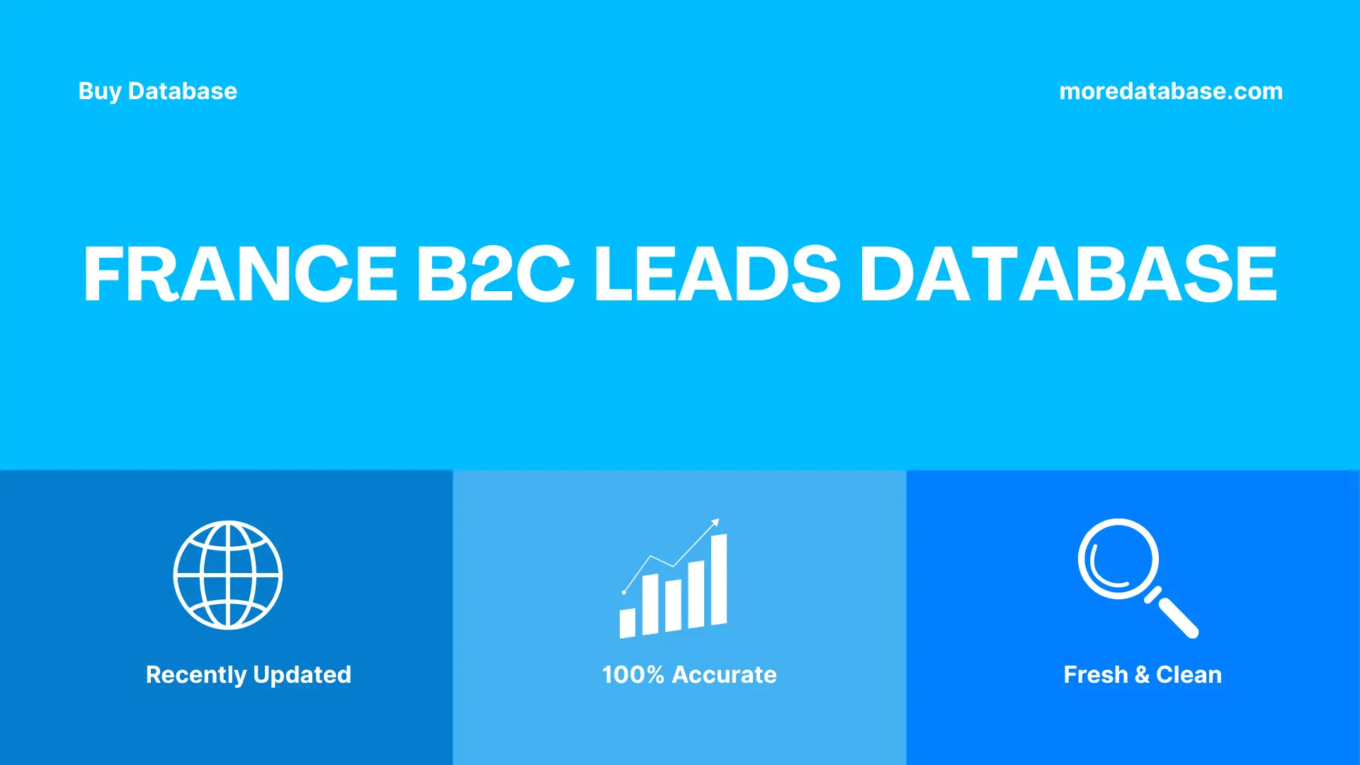 France B2C Leads Database Trial Package