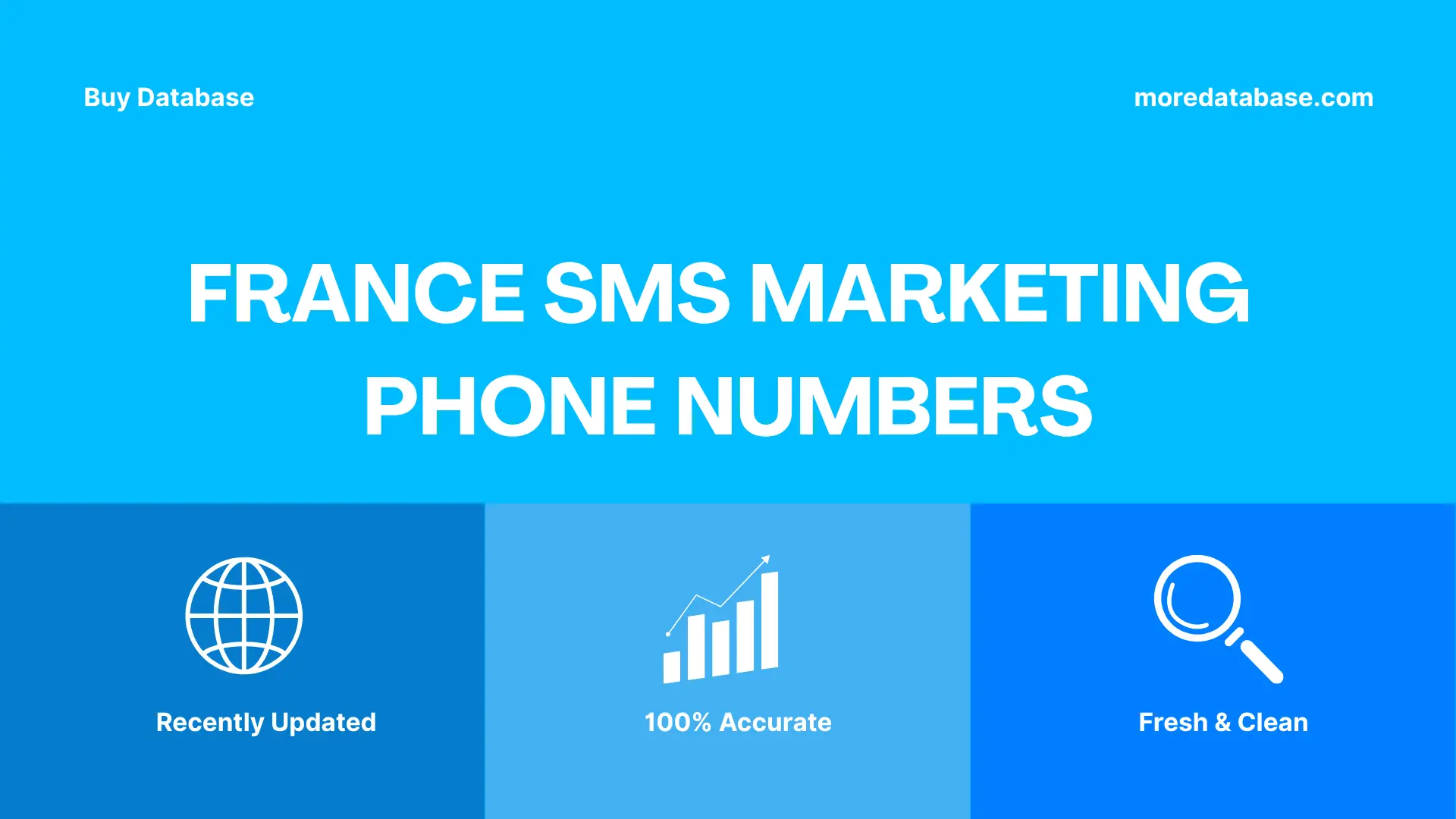 France SMS Marketing Phone Numbers Trial Package