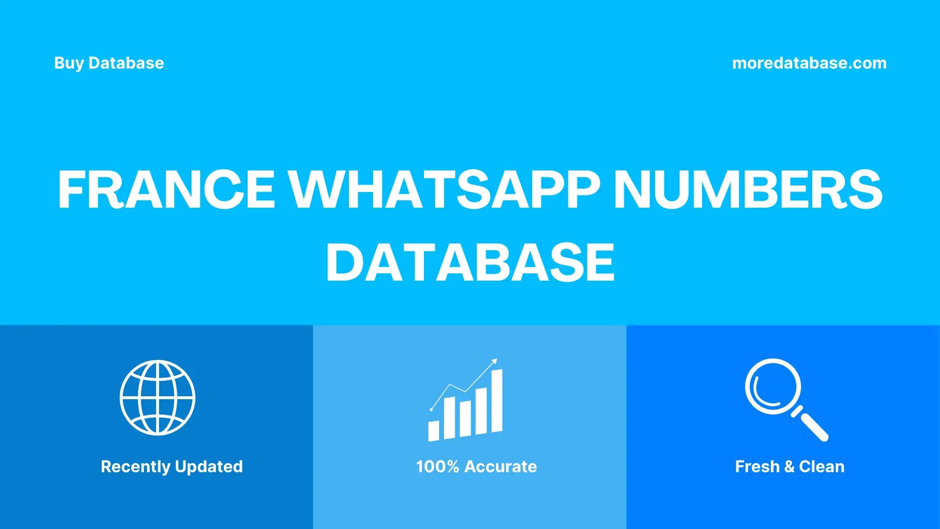 France WhatsApp Numbers Database Trial Package
