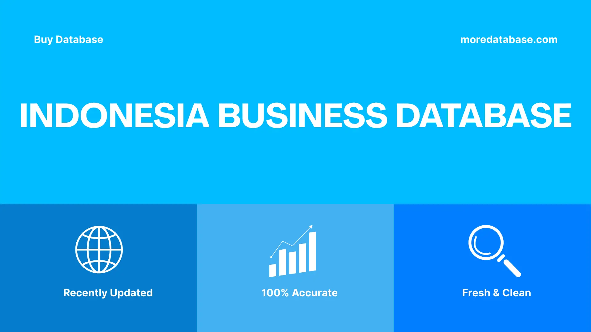 Indonesia Business Database Trial Package