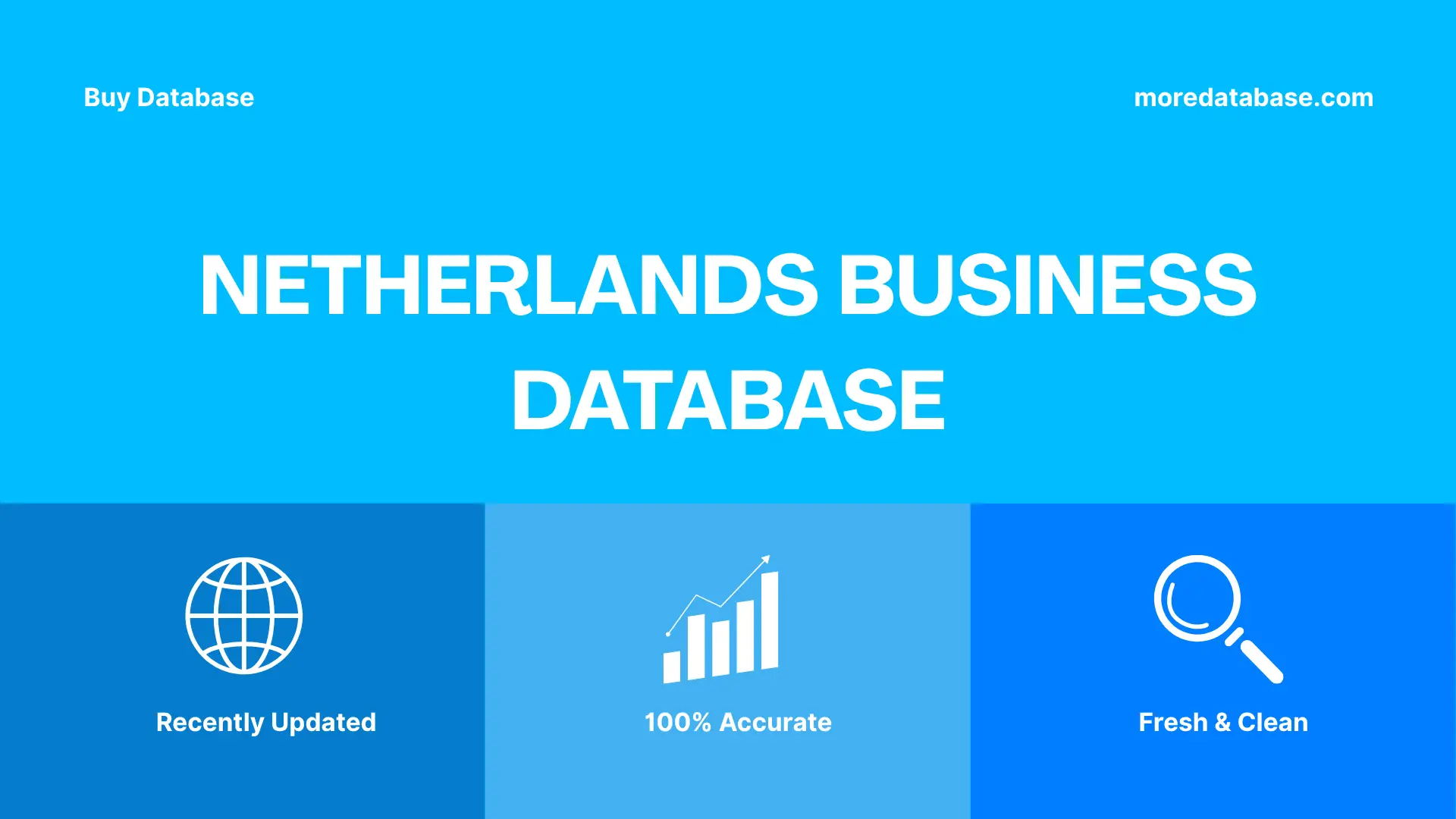 Netherlands Business Database Trial Package
