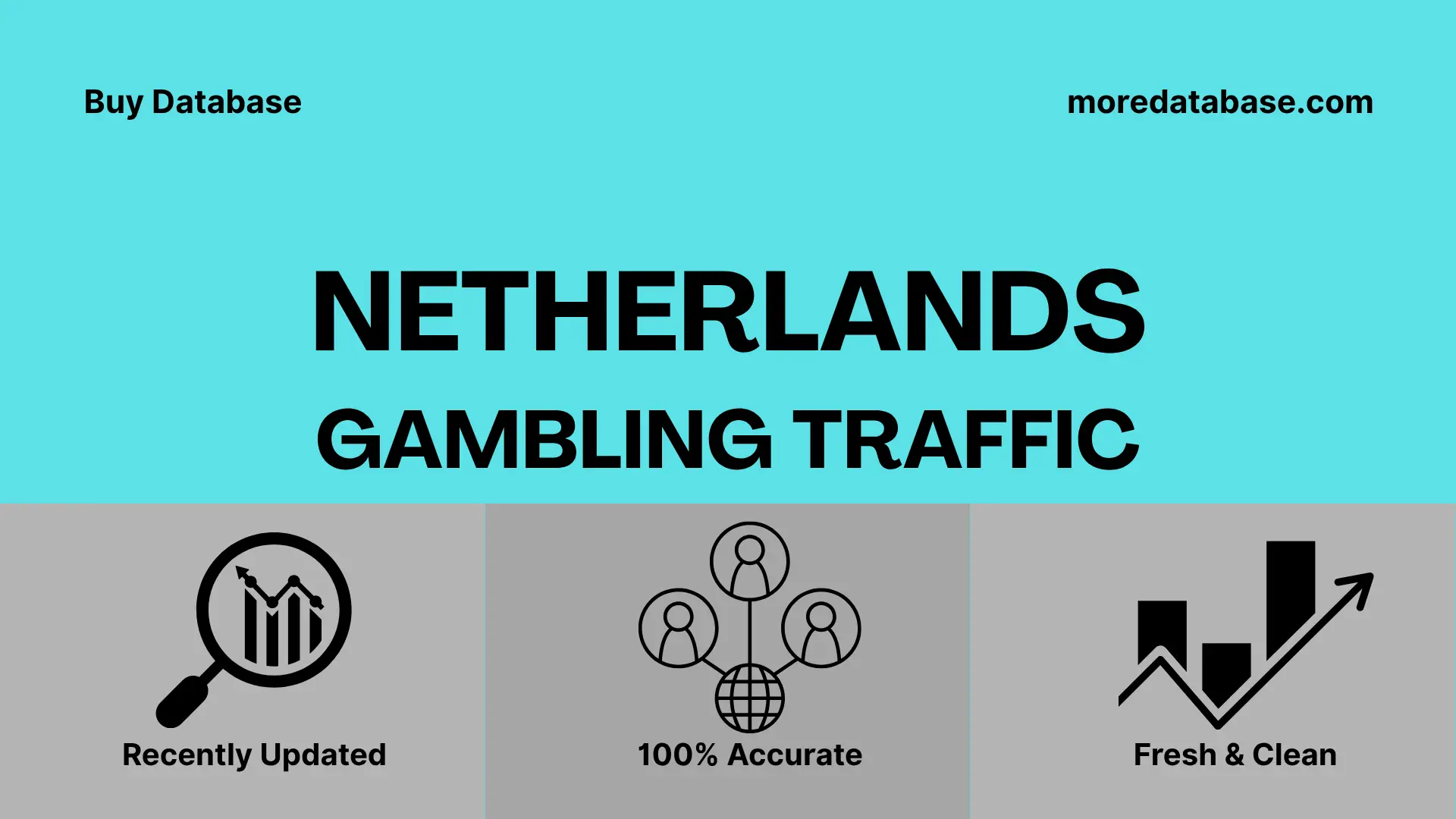 Netherlands Gambling Traffic 1 Million Data
