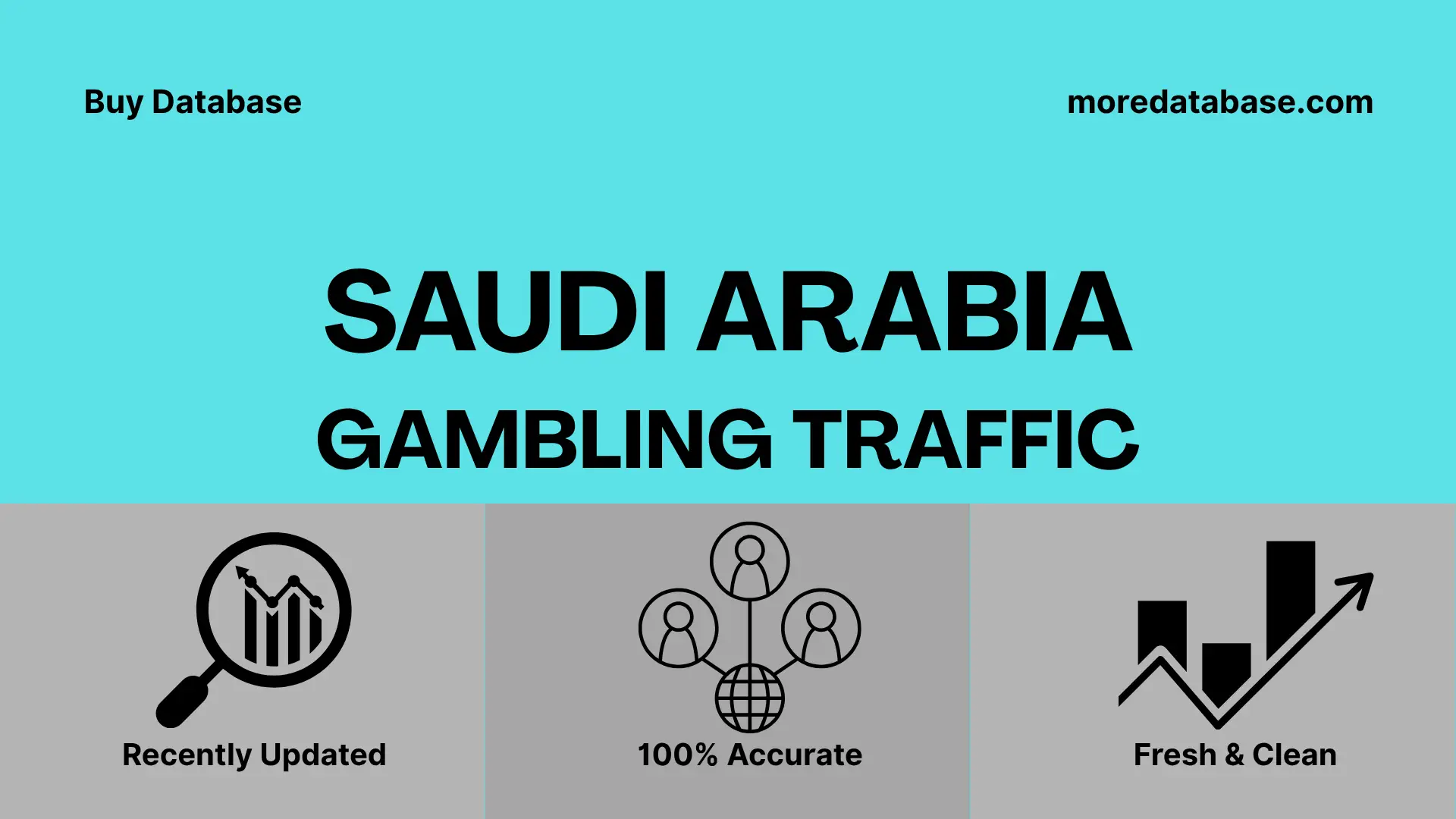 Russia Arabia Gambling Traffic 1 Million Data