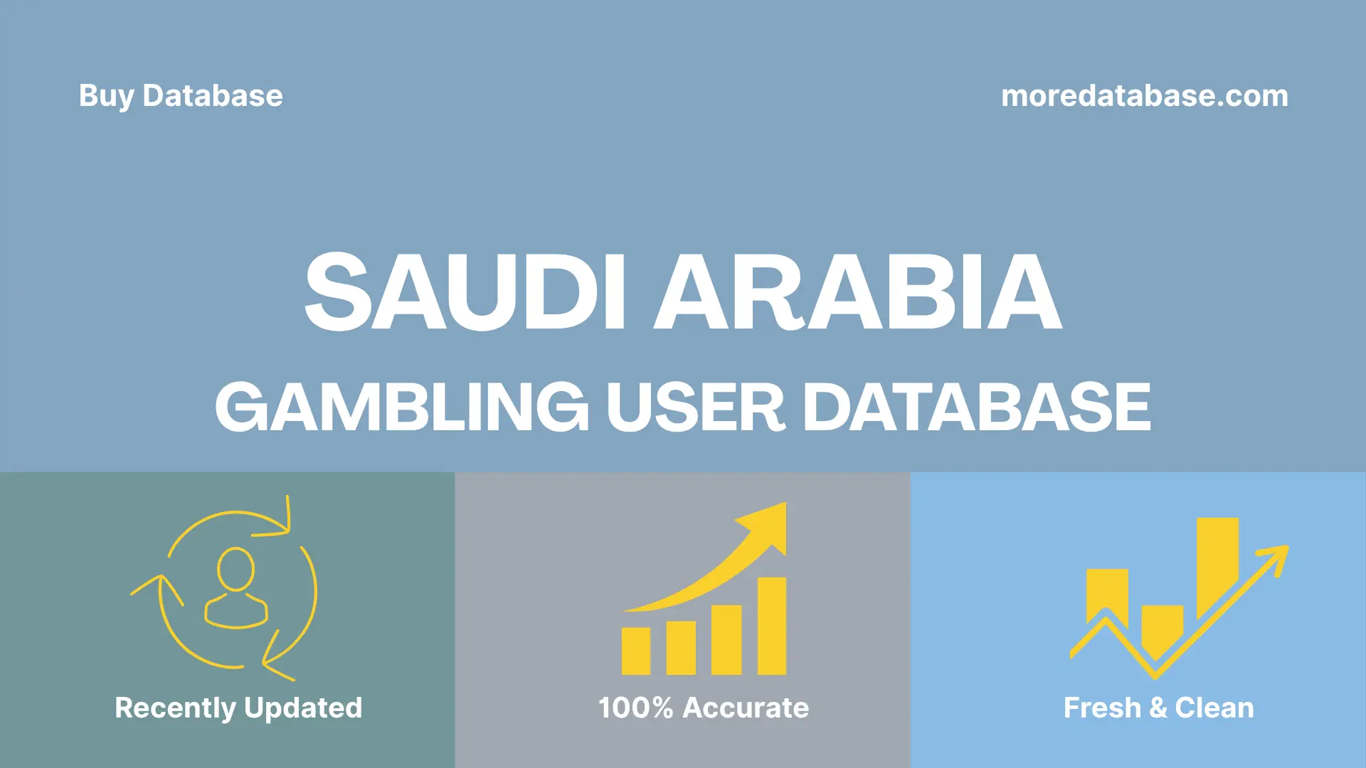 Saudi Arabia Gambling User Email List 1 Million Data