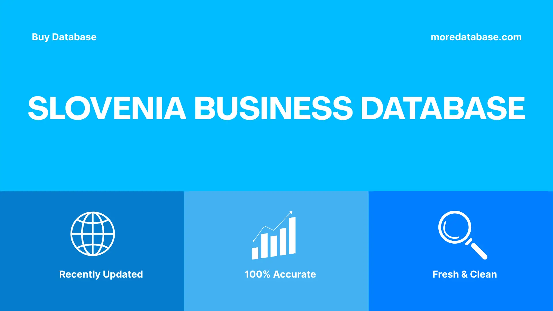 Slovenia Business Database 100K Package
