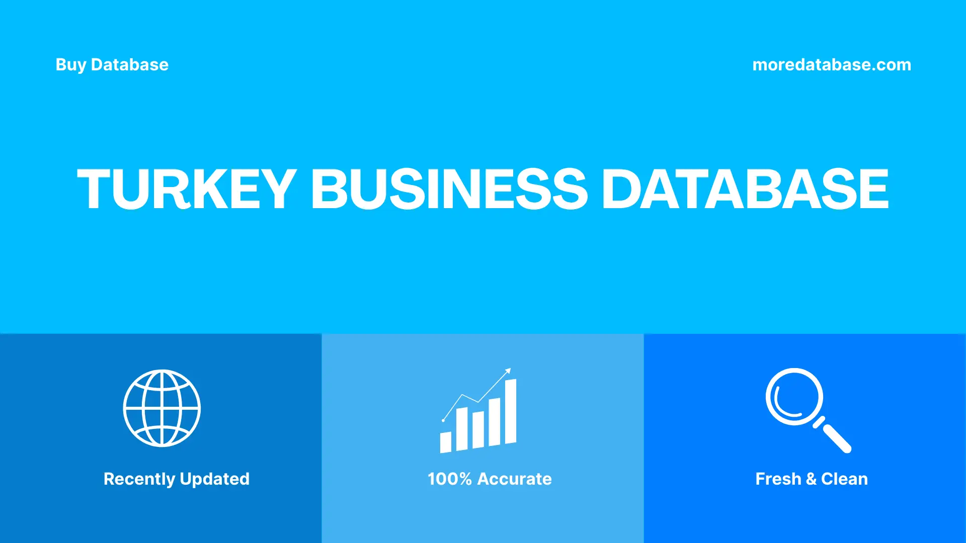 Turkey Business Database Trial Package