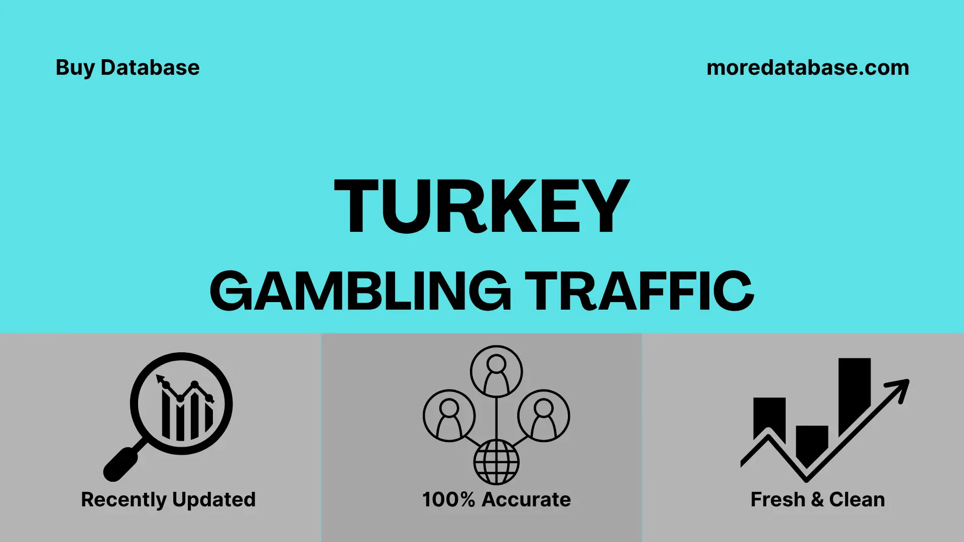 Turkey Gambling Traffic 1 Million Data