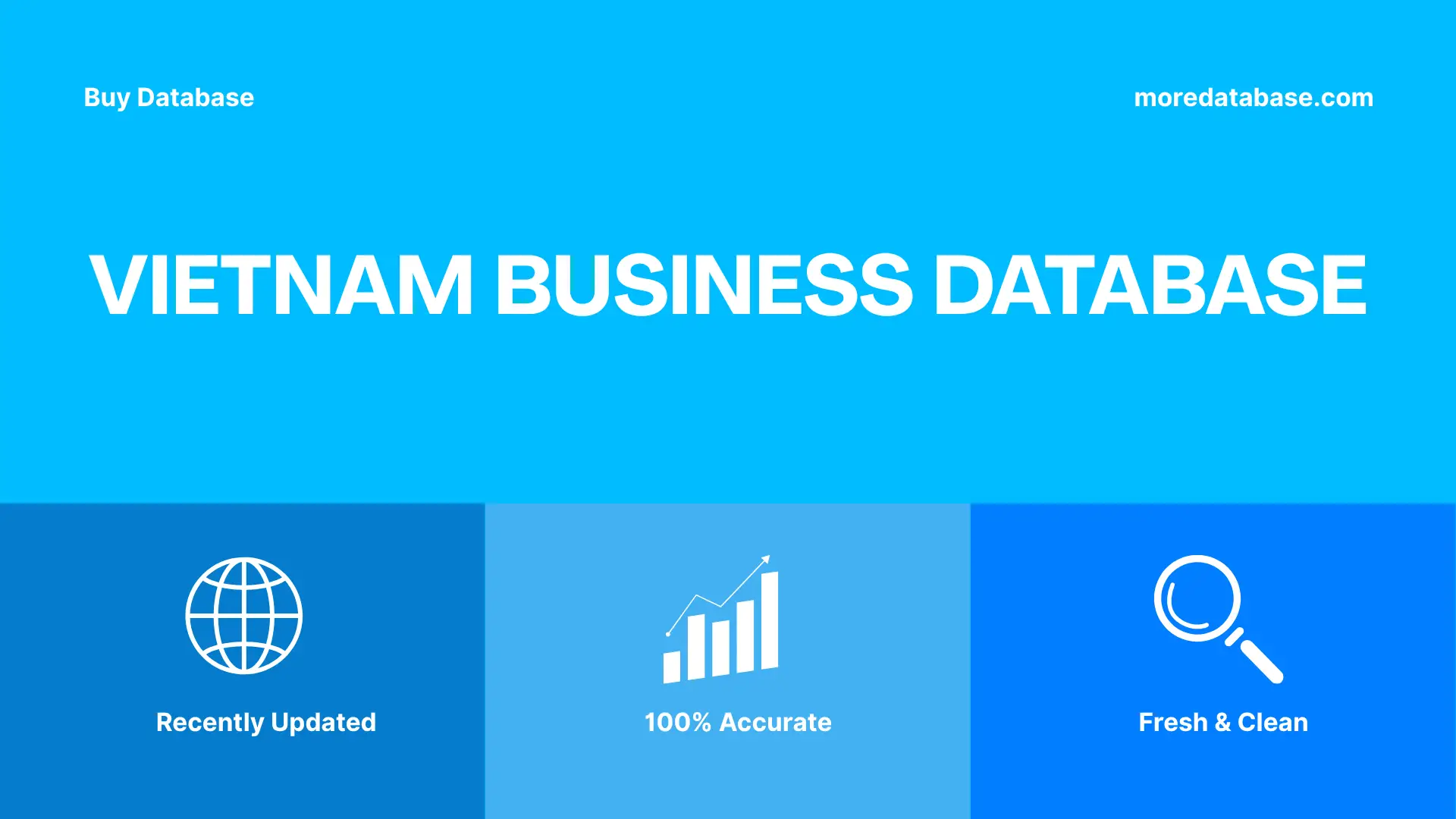 Vietnam Business Database Trial Package